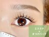 【新技術】エクパーマ（まつ毛パーマ＋フラットマット） 120本 ¥10980