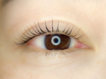 リリー(Lily)の写真/<通うほどに実感するモチの良さと満足感をお届け>まつ毛パーマもエクステも、鏡を見る度楽しくなる目元に☆