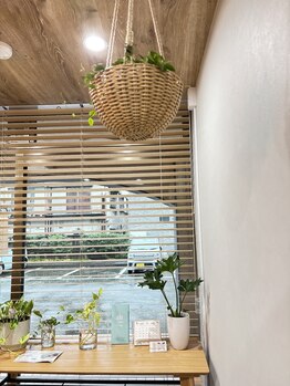 リスカルダ(rescalda)/受付 天井