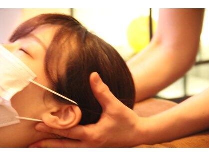 フー(Fuu)の写真