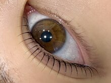 アルディ(hardi)/