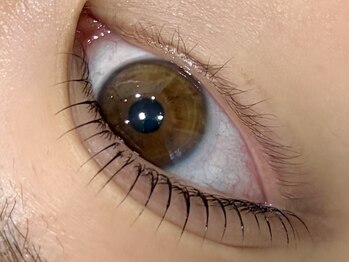 アルディ(hardi)/