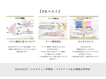 ソルナティ 伊勢原(SOLNATY)/NRバストの強み
