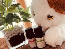 プクル(Pukul)/アロマオイル