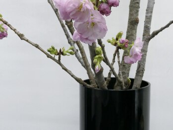 アイロンボーイ(IRONBOY)/