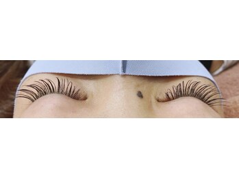 シルフ 石橋店(Sylph)/カシミヤセーブル