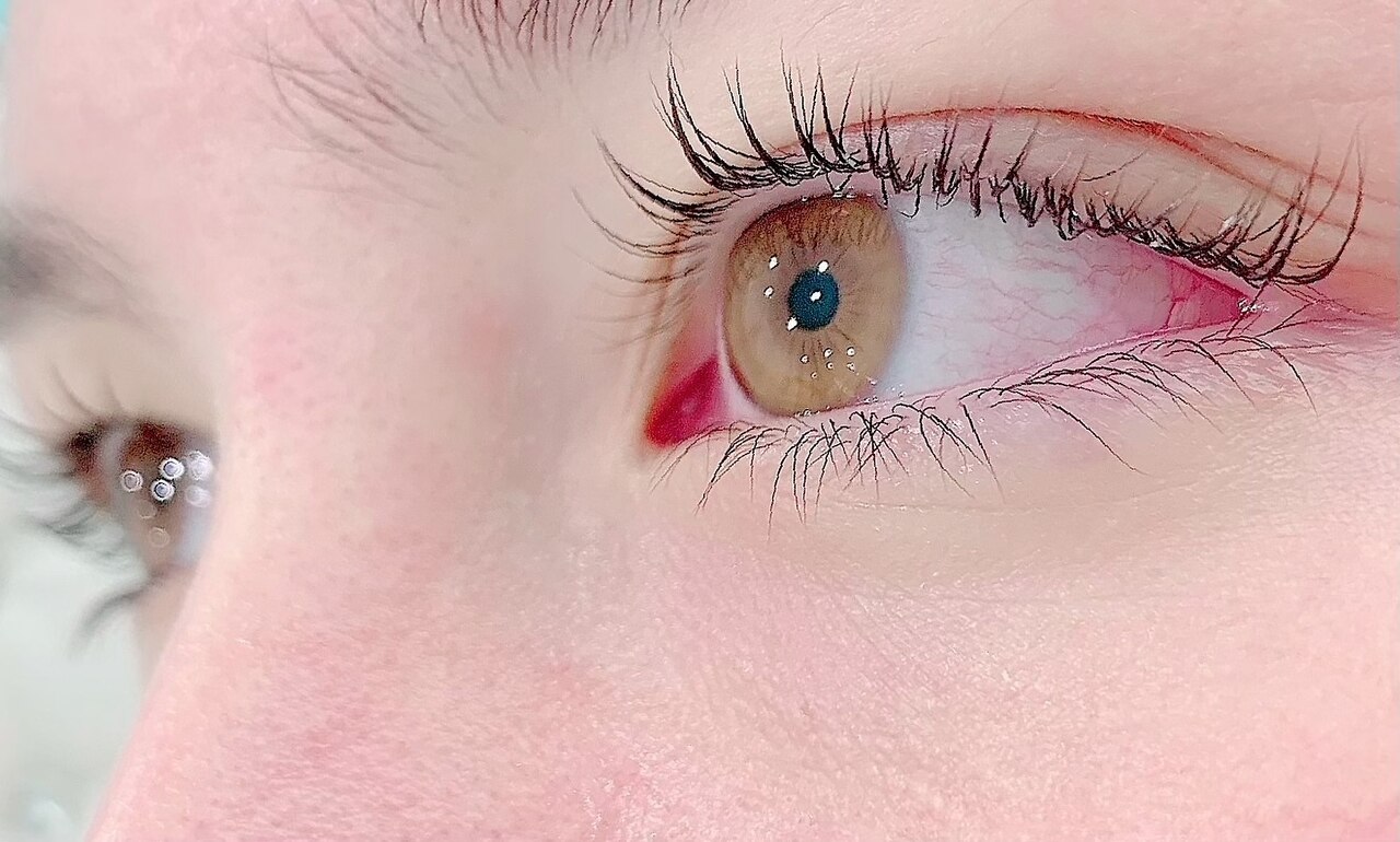 レディ アイラッシュ(Ledy eyelash)｜ホットペッパービューティー