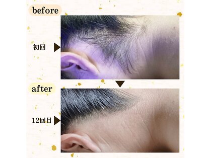 イデアーレ(ideale)の写真
