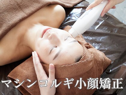 ノエル(NOEL)の写真