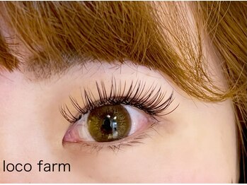 ロコ ファーム(loco farm)/Wフラットラッシュ80束