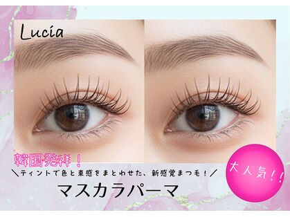 ルチア(Lucia)の写真