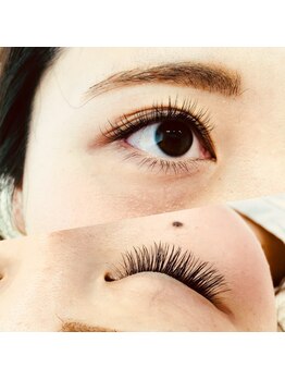 ルピナス(Lupinus)/セーブル140本