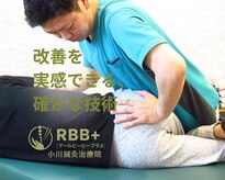 アールビービープラス(RBB+)