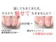 ヴェールリム(verl lim)の写真