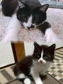 ルレーヴミリ(Le reve milli) 猫が大好き!癒しです♪