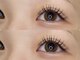 リノナ シル(LINONA cil)の写真