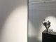 エルヴェ(elve)の写真/オシャレな観葉植物と香りと居心地。気分はもちろん自分の意識も高まる場所◇パラジェルベースでモチもUP!