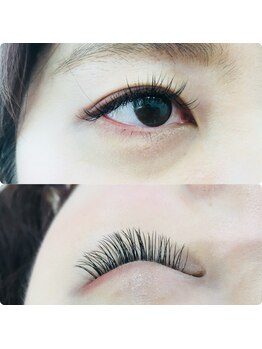 ルピナス(Lupinus)/セーブル140本