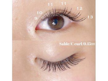 ルクール(Le Coeur)/セーブル120本