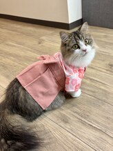 晴々&nbsp;店長 ミモザ