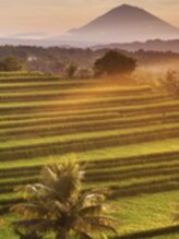 サンティ 心斎橋店 Hayashi