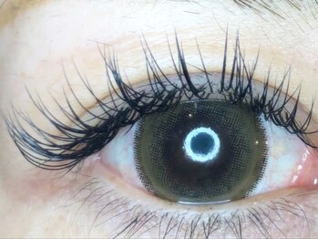 ビビ(VIVI)/シングルラッシュ