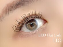 メルティ(melty)/LED フラットラッシュ110本