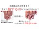 ヴェールリム(verl lim)の写真