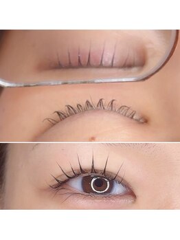 エンジェル(Angel)/立ち上げダブルロット