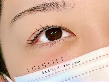 アチャ(accha)/ラッシュリフト/まつ毛パーマ