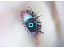 美曜日/カラーラッシュ120本