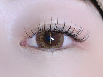 アンディ(ANDY)/フラットラッシュ120