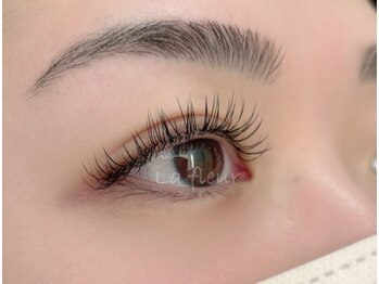 ラ フルール(La fleur)/フラットラッシュ120本