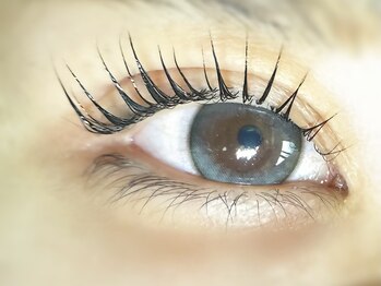 エニーラッシュ(ANYLASH)/Lカールロッド