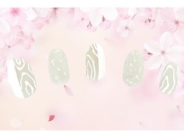 定額ダイヤコース