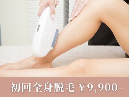 ダリア(DAHLIA)の写真