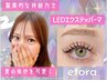【パリエク★マツエク+パーマ】LED80本×まつげパーマ