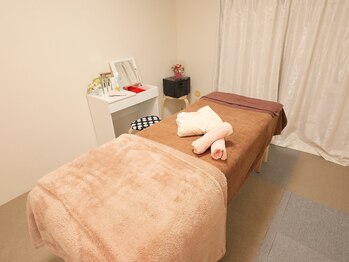 ジェルベラ(gerbera)/