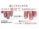 ヴェールリム(verl lim)の写真