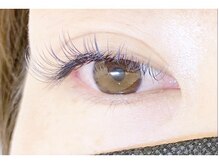 アイラッシュ リフ(Lif)/フラットカラー◇ネイビー