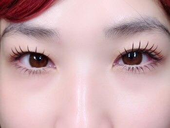 アイラッシュ ノード(eyelash nodo)/フラットラッシュ160本/下60本