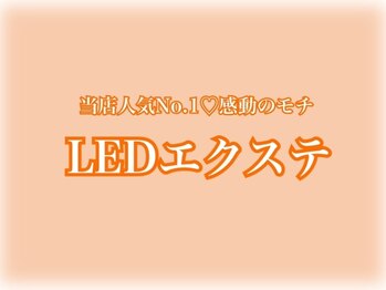 ボニータ(BONITA)/