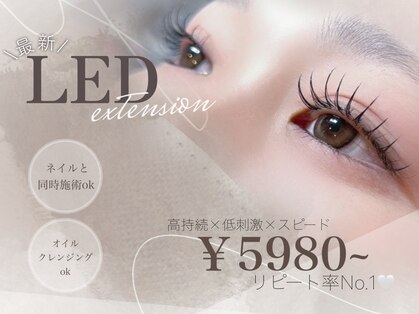 リリーズドッグアンドビューティー(Lily's Dog&Beauty)の写真