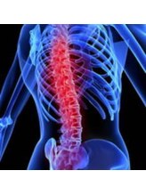 桜花カイロプラクティック/あなたの背骨は大丈夫ですか？