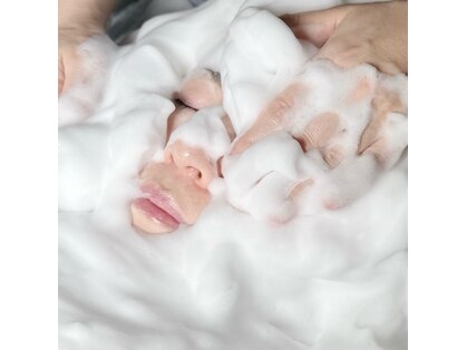 ポノミー(Ponomy)の写真