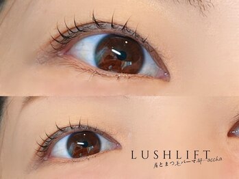 アチャ(accha)/まつ毛パーマ/ラッシュリフト