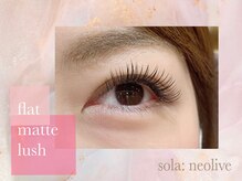 ソラネオリーブ 相模大野店(sola neolive)/【フラットラッシュ】相模大野