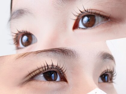 カノン(KANON)の写真