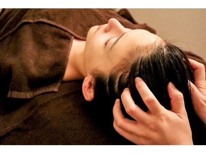 レディーバグ(Lady BUG)の写真