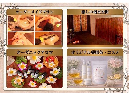 ルーチェ(Luce)の写真